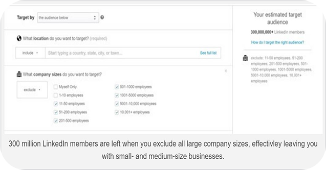 Pantalla de filtro LinkedIn Ads para empresas de 10 empleados o menos