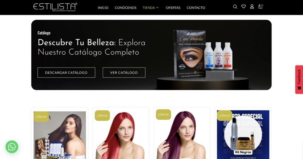 Sitio Estilista Profesional muestra