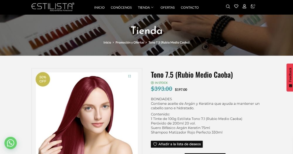 Sitio Estilista Profesional muestra